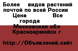 Более200 видов растений почтой по всей России › Цена ­ 100-500 - Все города  »    . Московская обл.,Красноармейск г.